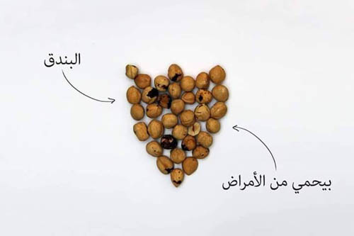 القلوبات وفوائدها في رسومات
